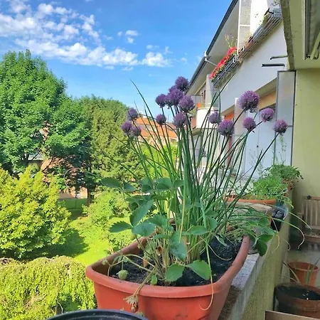 5 Min In - Euer Neues Zuhause In Appartement Berne
